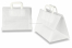 Paper carrier bags with folded handles - white 317 x 218 x 245 mm | Bestbuyenvelopes.com