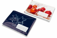 Christmas air-cushioned envelopes | Bestbuyenvelopes.com