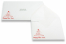 Christmas card envelopes - Wish | Bestbuyenvelopes.com