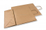 Paper carrier bags with twisted handles - brown, 320 x 140 x 420 mm, 100 gr | Bestbuyenvelopes.com