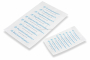 White kraft paper pay envelopes - printed example